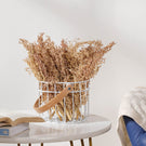 Corn Grass For Decor