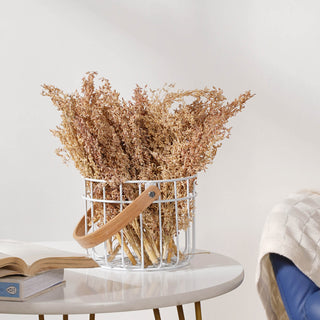 Corn Grass For Decor