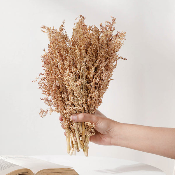 Corn Grass For Decor - Natural and sustainable home decor products | Room decoration items