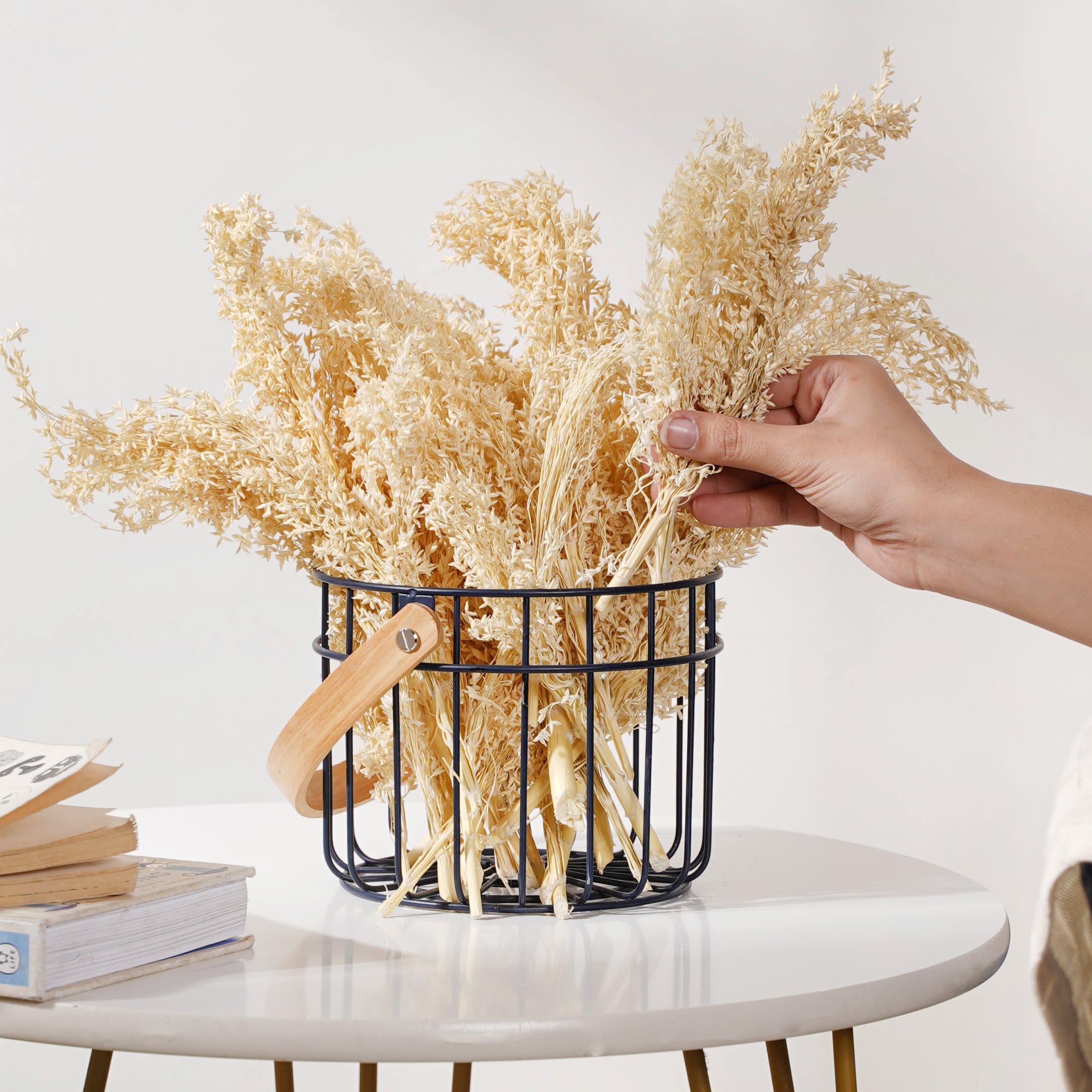 Home Decoration Natural Dried Flower Dry Flower & Pampas Grass at best  price in Chandigarh