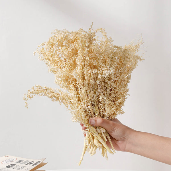 Corn Grass Stem - Natural and sustainable home decor products | Room decoration items