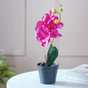 Colorful Orchid Stem - Artificial flower | Home decor item | Room decoration item