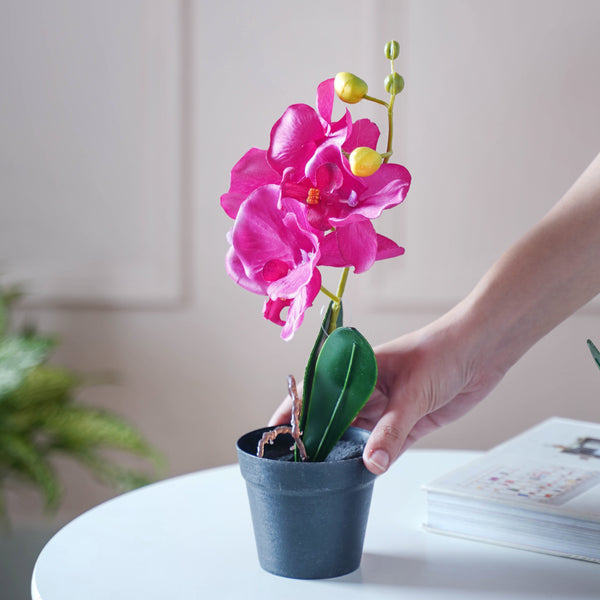 Colorful Orchid Stem - Artificial flower | Home decor item | Room decoration item