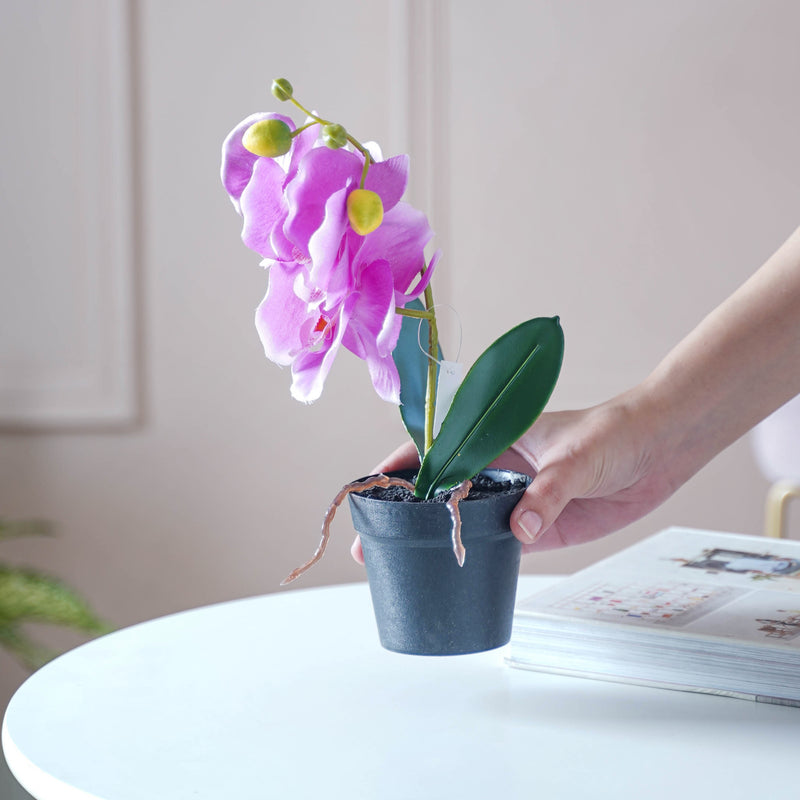 Colorful Orchid Stem - Artificial flower | Home decor item | Room decoration item