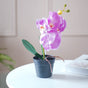 Colorful Orchid Stem - Artificial flower | Home decor item | Room decoration item