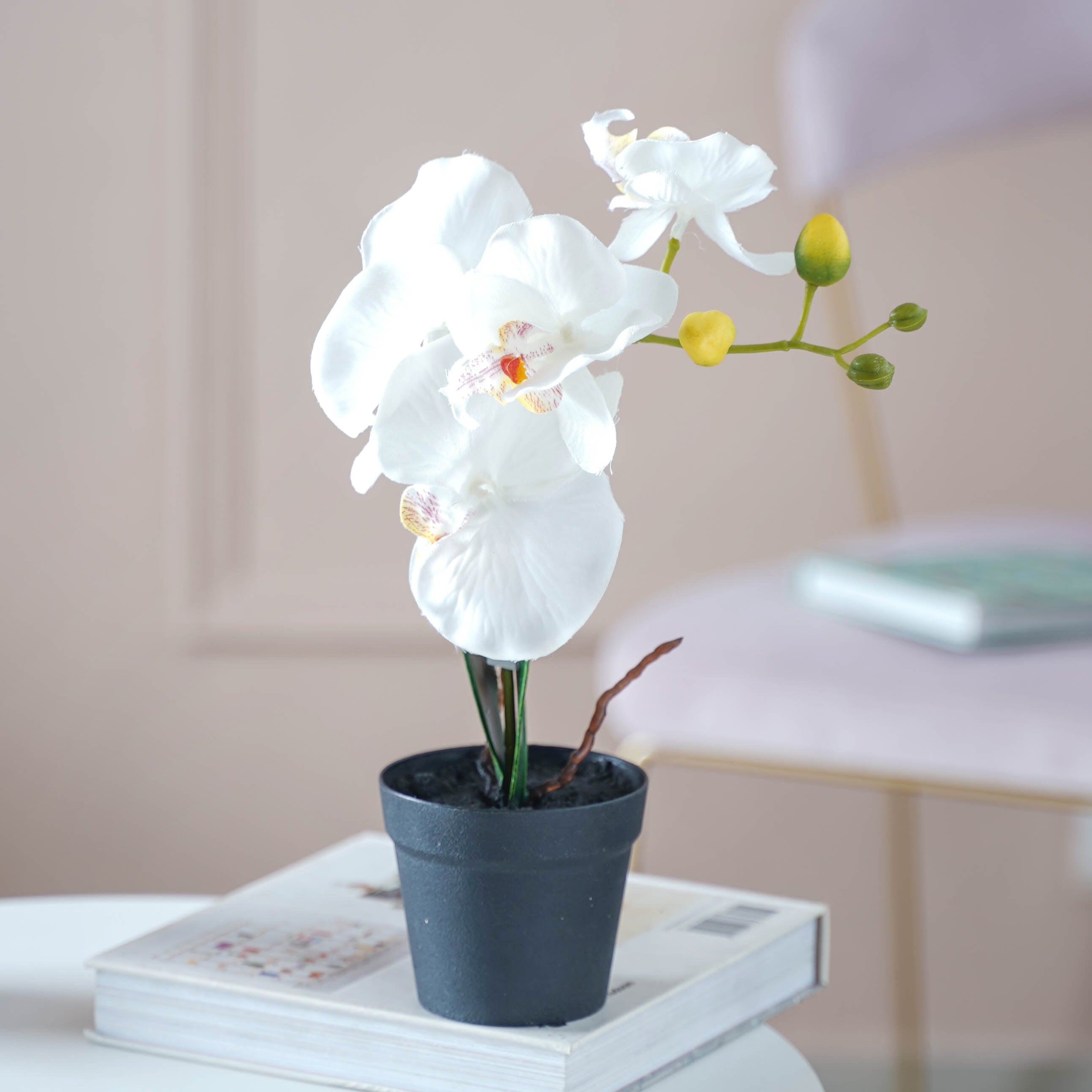 Chrysanthemum Flower White Set Of 5