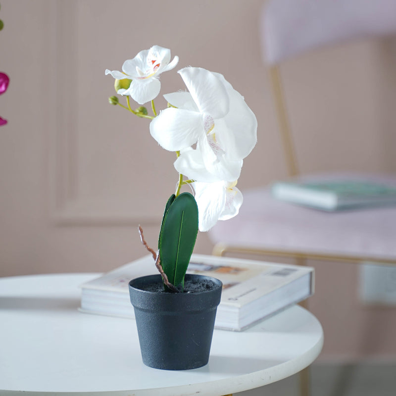 Colorful Orchid Stem - Artificial flower | Home decor item | Room decoration item