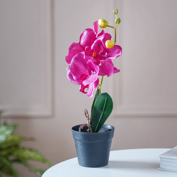 Colorful Orchid Stem - Artificial flower | Home decor item | Room decoration item