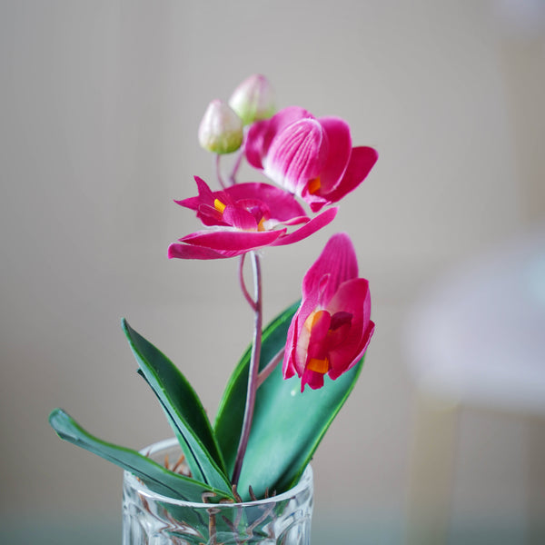 Artificial Orchid Stem - Artificial flower | Home decor item | Room decoration item