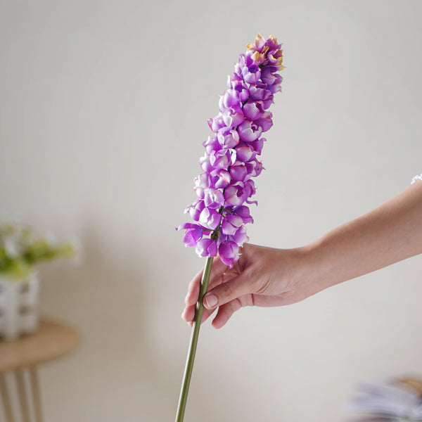 Hyacinth Stem