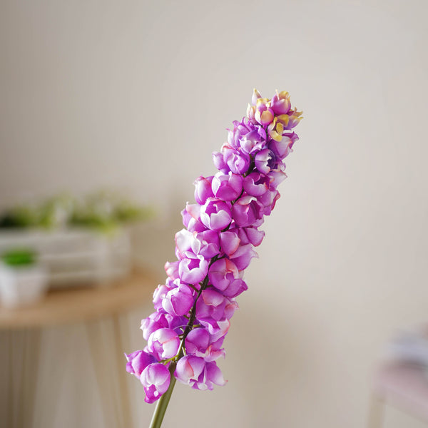 Hyacinth Stem