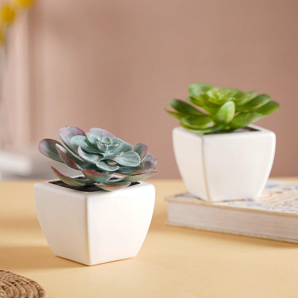 Bonsai Plant - Artificial flower | Home decor item | Room decoration item
