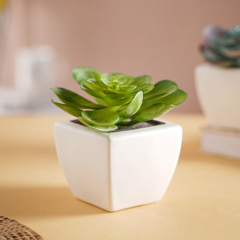 Bonsai Plant - Artificial flower | Home decor item | Room decoration item