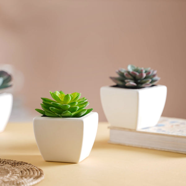 Faux Succulent Plant - Artificial flower | Home decor item | Room decoration item