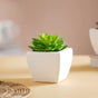 Faux Succulent Plant - Artificial flower | Home decor item | Room decoration item