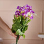 Colorful Flowers - Artificial flower | Home decor item | Room decoration item