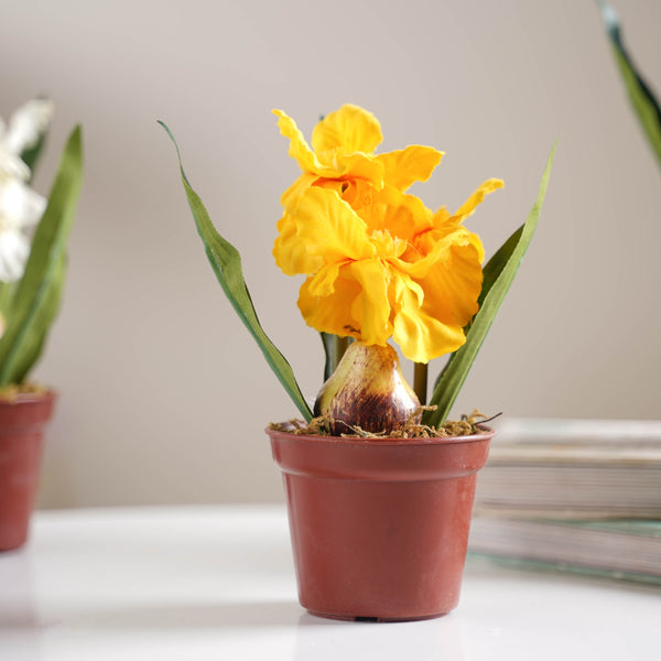 Faux Iris Plant - Artificial flower | Home decor item | Room decoration item