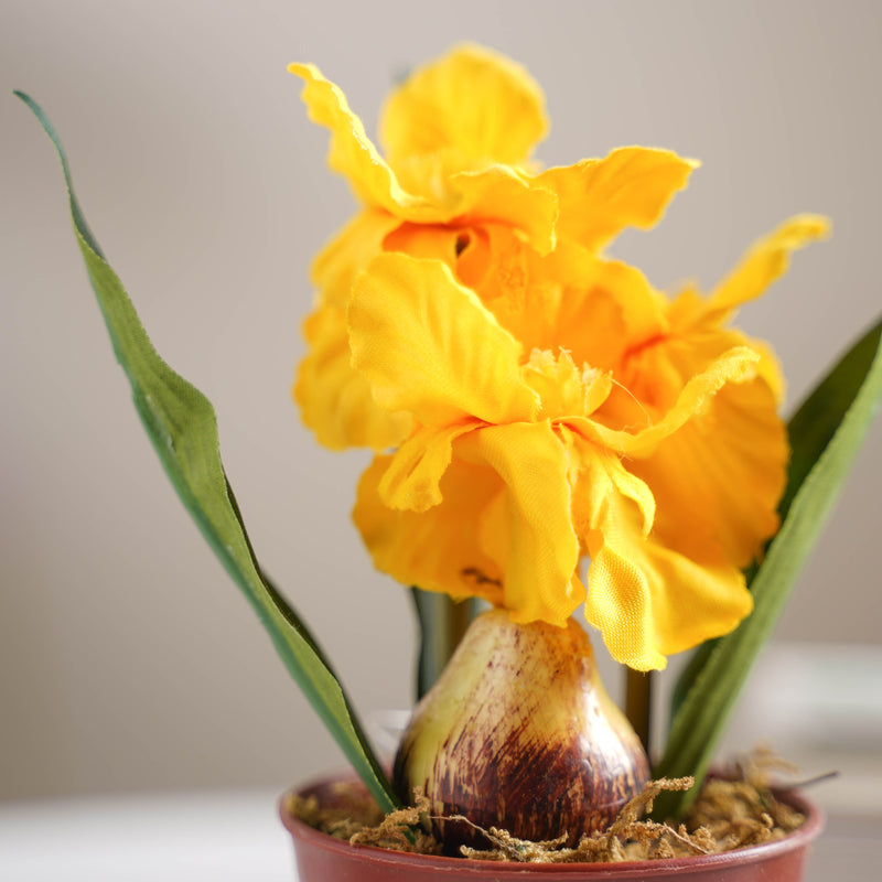 Faux Iris Plant - Artificial flower | Home decor item | Room decoration item