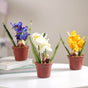 Faux Iris Plant - Artificial flower | Home decor item | Room decoration item