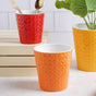 Planter Set of 2 - Indoor plant pots and flower pots | Home decoration items