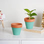 Brown Rim Green Clay Pot Set Of 2 - Indoor planters and flower pots | Home decor items