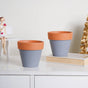 Brown Rim Grey Clay Pot Set Of 2 - Indoor planters and flower pots | Home decor items