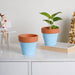 Brown Rim Sky Blue Clay Pot Set Of 2 - Indoor planters and flower pots | Home decor items