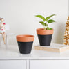 Brown Rim Black Clay Pot Set Of 2 - Indoor planters and flower pots | Home decor items