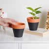 Brown Rim Black Clay Pot Set Of 2 - Indoor planters and flower pots | Home decor items