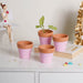 Pink Mini Clay Pot Set Of 4 - Indoor plant pots and flower pots | Home decoration items