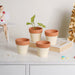 Cream Mini Clay Pot Set Of 4 - Indoor planters and flower pots | Home decor items