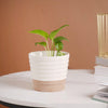 Abstract Lines Bicolour Pot - Indoor planters and flower pots | Home decor items