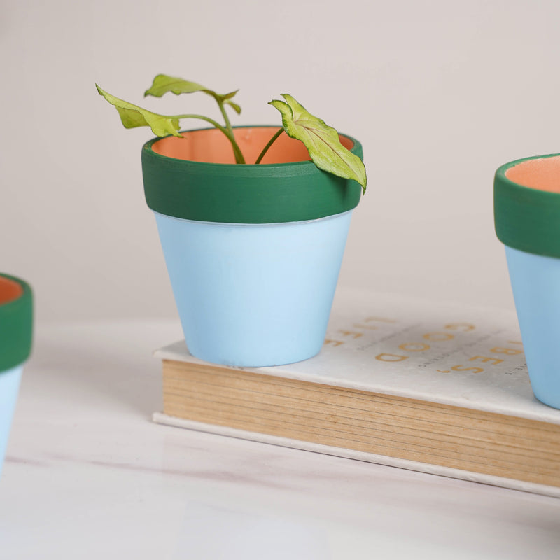 Green Rim Sky Blue Mini Pot Set Of 4 - Indoor planters and flower pots | Home decor items