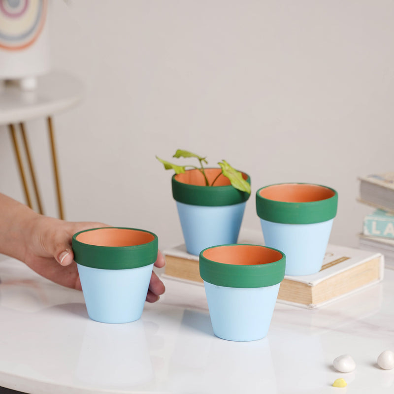 Green Rim Sky Blue Mini Pot Set Of 4 - Indoor planters and flower pots | Home decor items