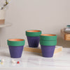 Green Rim Purple Clay Pot Set Of 4 - Indoor planters and flower pots | Home decor items