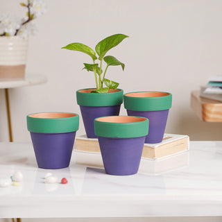 Green Rim Purple Clay Pot Set Of 4