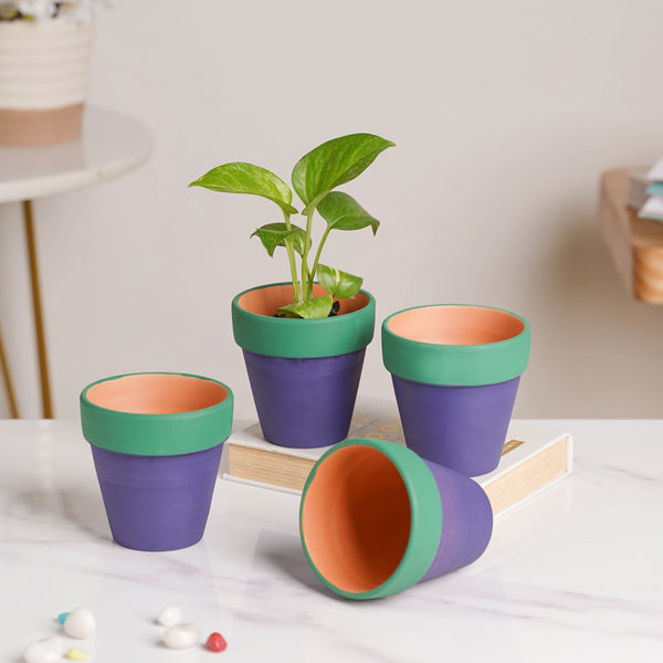 Green Rim Purple Clay Pot Set Of 4 - Indoor planters and flower pots | Home decor items