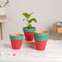 Green Rim Red Clay Pot Set Of 4 - Indoor planters and flower pots | Home decor items