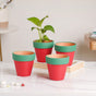 Green Rim Red Clay Pot Set Of 4 - Indoor planters and flower pots | Home decor items