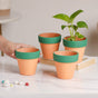 Green Rim Orange Clay Pot Set Of 4 - Indoor planters and flower pots | Home decor items