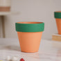 Green Rim Orange Clay Pot Set Of 4 - Indoor planters and flower pots | Home decor items