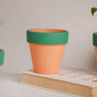 Green Rim Orange Clay Pot Set Of 4 - Indoor planters and flower pots | Home decor items