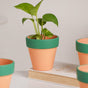 Green Rim Orange Clay Pot Set Of 4 - Indoor planters and flower pots | Home decor items