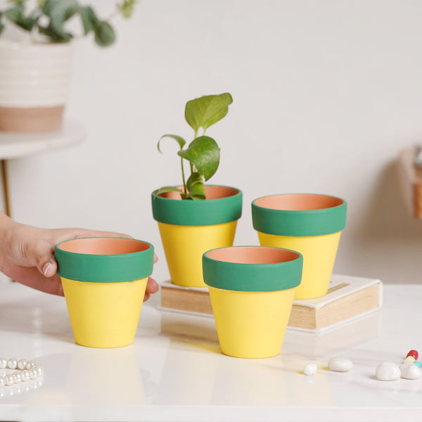 Green Rim Yellow Clay Pot Set Of 4 - Indoor planters and flower pots | Home decor items