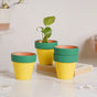 Green Rim Yellow Clay Pot Set Of 4 - Indoor planters and flower pots | Home decor items