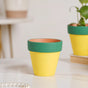 Green Rim Yellow Clay Pot Set Of 4 - Indoor planters and flower pots | Home decor items