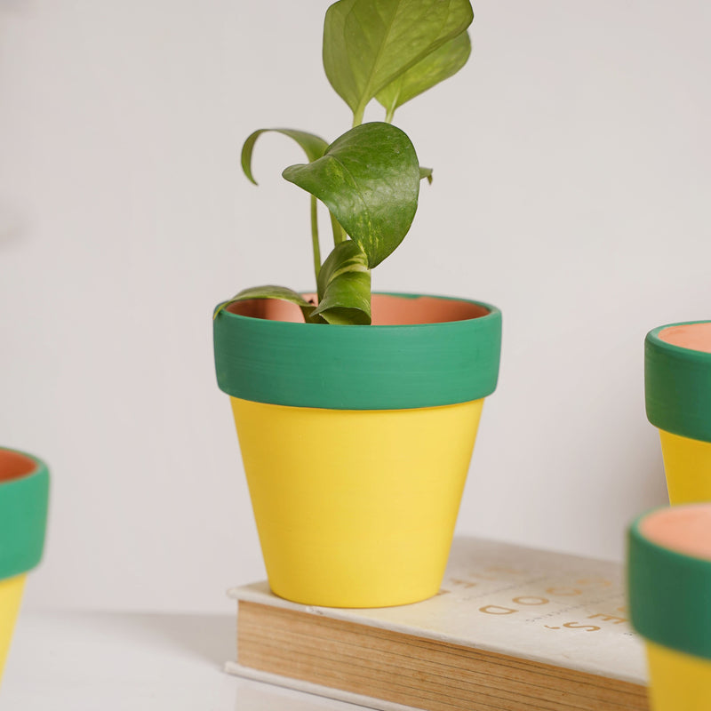 Green Rim Yellow Clay Pot Set Of 4 - Indoor planters and flower pots | Home decor items