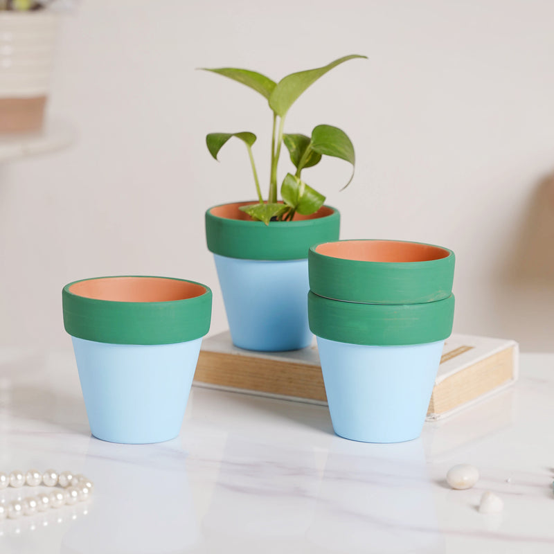 Green Rim Light Blue Clay Pot Set Of 4 - Indoor planters and flower pots | Home decor items