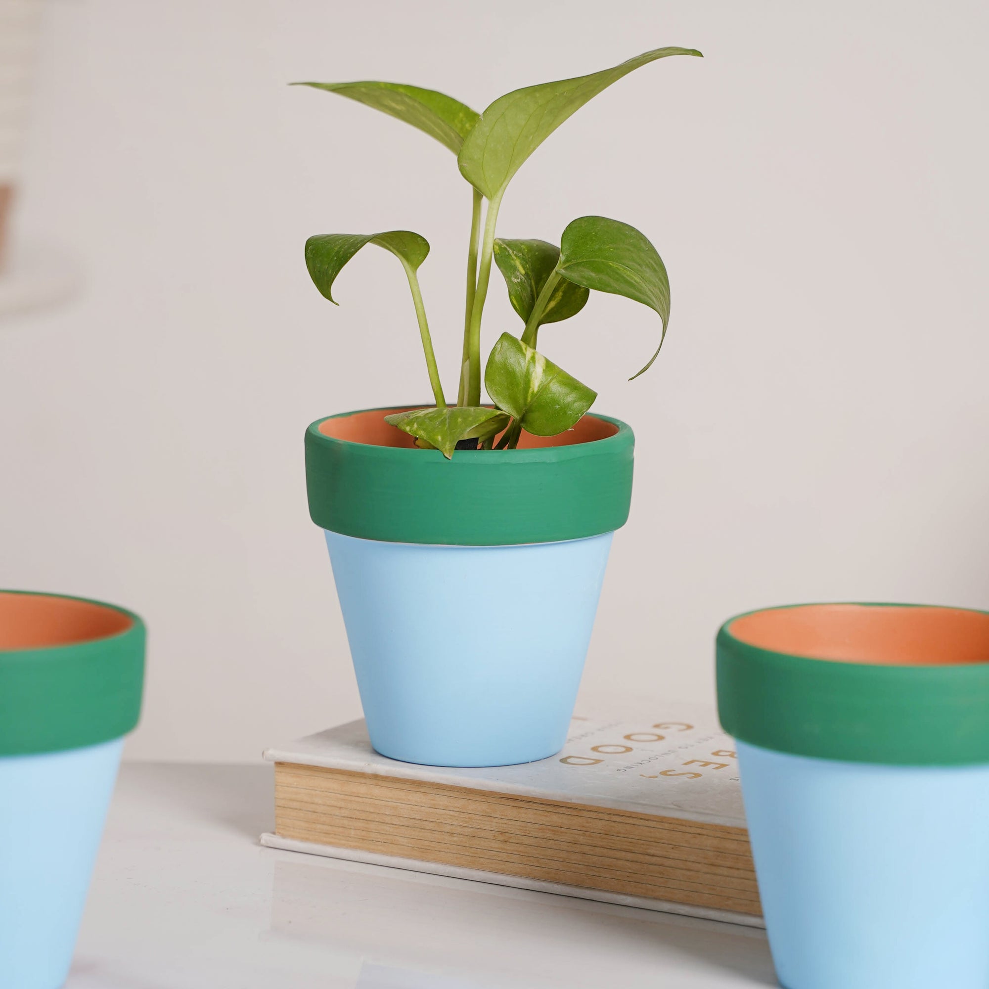 blue clay plant pots Green Rim Light Blue Clay Pot Set Of 4 Online - Premium Planter