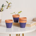 Purple Mini Clay Pot Set Of 4 - Indoor planters and flower pots | Home decor items